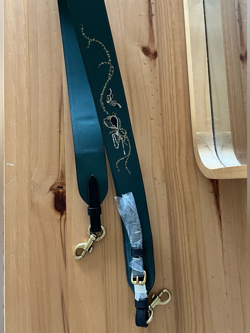 NWT Coach x Chelsea Champlain Teal Moth Novelty Strap
